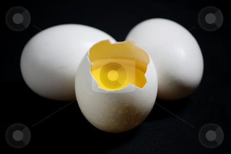 To use this stock image in your creative project, please select the size you need over to the right and click the "Add to Cart" button.
Your downloaded image will come with the Cutcaster watermark removed so don’t worry about the watermark you see on this page. White eggs stock photo, White eggs isolated in dark backgroun by Claro Alindogan