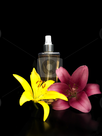 To use this stock image in your creative project, please select the size you need over to the right and click the "Add to Cart" button.
Your downloaded image will come with the Cutcaster watermark removed so don’t worry about the watermark you see on this page. Perfume with lillies stock photo, Perfume with lillies on a black backgrond by John Teeter