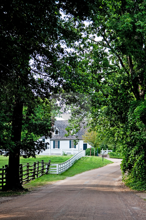 To use this stock image in your creative project, please select the size you need over to the right and click the "Add to Cart" button.
Your downloaded image will come with the Cutcaster watermark removed so don’t worry about the watermark you see on this page. Driveway to farm house stock photo, Driveway surrounded by trees next to meadow surrounded by a white fence leading towards a white colonial farm house by Paul Hakimata