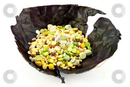 To use this stock image in your creative project, please select the size you need over to the right and click the "Add to Cart" button.
Your downloaded image will come with the Cutcaster watermark removed so don’t worry about the watermark you see on this page. Soup Pulses in a Cabbage Leaf stock photo, Pile of soup pulses in a red cabbage leaf on a white background by Keith Wilson