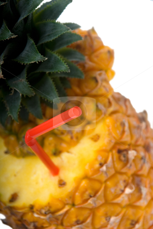 To use this stock image in your creative project, please select the size you need over to the right and click the "Add to Cart" button.
Your downloaded image will come with the Cutcaster watermark removed so don’t worry about the watermark you see on this page. Pineapple drink stock photo, Ripe pineapple cutted on top with red straw by Francesco Perre