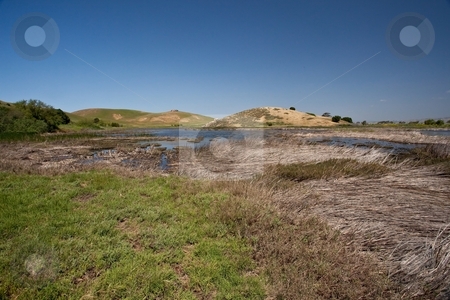 To use this stock image in your creative project, please select the size you need over to the right and click the "Add to Cart" button.
Your downloaded image will come with the Cutcaster watermark removed so don’t worry about the watermark you see on this page. Coyote Hills stock photo, Coyote Hills Regional Park is a regional park administered by the East Bay Regional Park District. The park is located in Fremont, California, on the southeast shore of the San Francisco Bay. by Mariusz Jurgielewicz