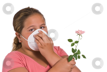 To use this stock image in your creative project, please select the size you need over to the right and click the "Add to Cart" button.
Your downloaded image will come with the Cutcaster watermark removed so don’t worry about the watermark you see on this page. Allergic stock photo, A young girl holding a flower while she wears a mask, isolated against a white background by Richard Nelson