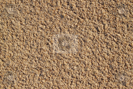 To use this stock image in your creative project, please select the size you need over to the right and click the "Add to Cart" button.
Your downloaded image will come with the Cutcaster watermark removed so don’t worry about the watermark you see on this page. Sand on a beach close up. Natural texture background. stock photo, Sand on a beach close up. Natural texture background. by Stephen Rees