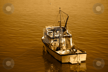 To use this stock image in your creative project, please select the size you need over to the right and click the "Add to Cart" button.
Your downloaded image will come with the Cutcaster watermark removed so don’t worry about the watermark you see on this page. Small Fishing Boat stock photo, A close up on a small fishing boat in the bay. by Travis Manley