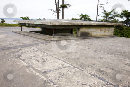 To use this stock image in your creative project, please select the size you need over to the right and click the "Add to Cart" button.
Your downloaded image will come with the Cutcaster watermark removed so don’t worry about the watermark you see on this page. Fort Worden Bunker stock photo, Fort Worden military bunker in Port Townsend Washington. by Travis Manley