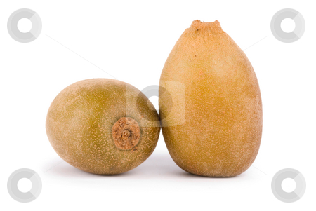To use this stock image in your creative project, please select the size you need over to the right and click the "Add to Cart" button.
Your downloaded image will come with the Cutcaster watermark removed so don’t worry about the watermark you see on this page. Isolated Kiwi fruit stock photo, Isolated Kiwi fruit on white background by Lawren