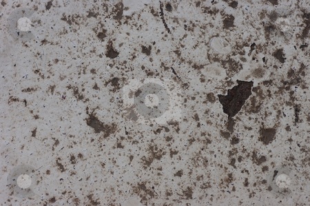 To use this stock image in your creative project, please select the size you need over to the right and click the "Add to Cart" button.
Your downloaded image will come with the Cutcaster watermark removed so don’t worry about the watermark you see on this page. Dirty Floor stock photo, A well used dirty floor. by Peter Soderstrom
