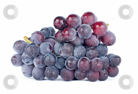 To use this stock image in your creative project, please select the size you need over to the right and click the "Add to Cart" button.
Your downloaded image will come with the Cutcaster watermark removed so don’t worry about the watermark you see on this page. Grapes with drops, fruit stock photo, Isolated grapes with drops on white background by Lawren
