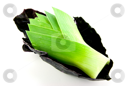 To use this stock image in your creative project, please select the size you need over to the right and click the "Add to Cart" button.
Your downloaded image will come with the Cutcaster watermark removed so don’t worry about the watermark you see on this page. Leek and Red cabbage stock photo, Red cabbage leaf with a leek head placed inside on a white background by Keith Wilson