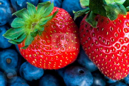 To use this stock image in your creative project, please select the size you need over to the right and click the "Add to Cart" button.
Your downloaded image will come with the Cutcaster watermark removed so don’t worry about the watermark you see on this page. Strawberry and bluberry series stock photo, Mixed berries series by Jose Wilson Araujo