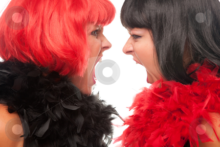 To use this stock image in your creative project, please select the size you need over to the right and click the "Add to Cart" button.
Your downloaded image will come with the Cutcaster watermark removed so don’t worry about the watermark you see on this page. Red and Black Haired Women Screaming at Each Other stock photo, Red and Black Haired Women with Boas Screaming at Each Other on a White Background. by Andy Dean