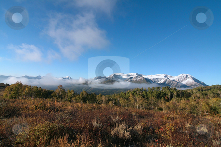 To use this stock image in your creative project, please select the size you need over to the right and click the "Add to Cart" button.
Your downloaded image will come with the Cutcaster watermark removed so don’t worry about the watermark you see on this page. Rocky Mountain Fall stock photo, Fall colors in the Rocky Mountains by Mark Smith