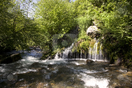 To use this stock image in your creative project, please select the size you need over to the right and click the "Add to Cart" button.
Your downloaded image will come with the Cutcaster watermark removed so don’t worry about the watermark you see on this page. Mounrain River stock photo, Mountain River in the summer with blue sky and trees in the background by Mark Smith