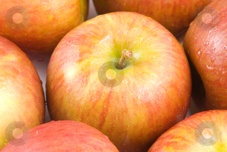 To use this stock image in your creative project, please select the size you need over to the right and click the "Add to Cart" button.
Your downloaded image will come with the Cutcaster watermark removed so don’t worry about the watermark you see on this page. Delicious apple fruit stock photo, Fresh and delicious apple fruit by Lawren