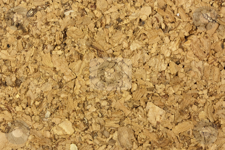 To use this stock image in your creative project, please select the size you need over to the right and click the "Add to Cart" button.
Your downloaded image will come with the Cutcaster watermark removed so don’t worry about the watermark you see on this page. Cork Board stock photo, A background/desktop shot of a cork board by Patrick Noonan