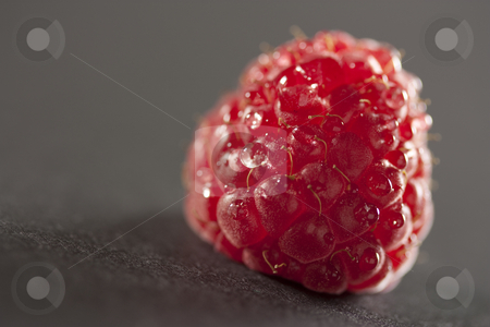 To use this stock image in your creative project, please select the size you need over to the right and click the "Add to Cart" button.
Your downloaded image will come with the Cutcaster watermark removed so don’t worry about the watermark you see on this page. Raspberry stock photo, A closeup of a raspberry by Patrick Noonan