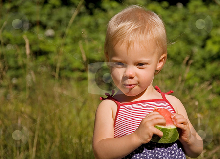 To use this stock image in your creative project, please select the size you need over to the right and click the "Add to Cart" button.
Your downloaded image will come with the Cutcaster watermark removed so don’t worry about the watermark you see on this page. Toddler Girl Eating Watermelon stock photo, This cute Caucasian toddler girl is eating a watermelon wearing a 4th of July themed dress. by Valerie Garner