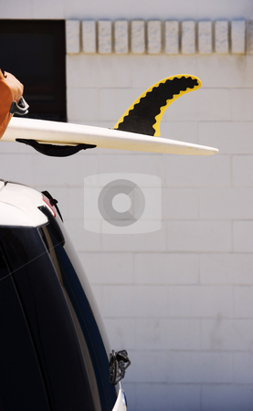 To use this stock image in your creative project, please select the size you need over to the right and click the "Add to Cart" button.
Your downloaded image will come with the Cutcaster watermark removed so don’t worry about the watermark you see on this page. Fin on a rescue surfboard stock photo, Fin on a rescue surfboard attached to SUV roof by Scott Griessel