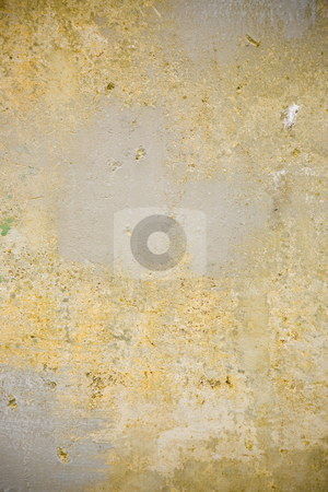 To use this stock image in your creative project, please select the size you need over to the right and click the "Add to Cart" button.
Your downloaded image will come with the Cutcaster watermark removed so don’t worry about the watermark you see on this page. Fort Worden Bunker stock photo, Abstract architecture at Fort Worden military bunker in Port Townsend Washington. by Travis Manley
