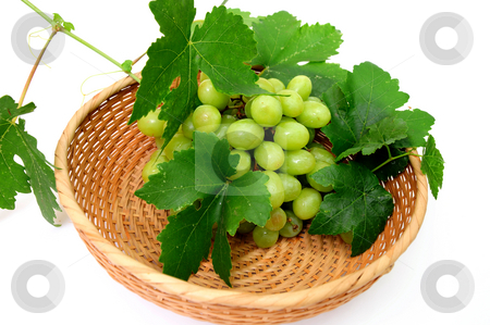 To use this stock image in your creative project, please select the size you need over to the right and click the "Add to Cart" button.
Your downloaded image will come with the Cutcaster watermark removed so don’t worry about the watermark you see on this page. Green Seedless Grapes stock photo, Bunch of seedless grapes and grapevine in a wicker basket on a white background by Lynn Bendickson