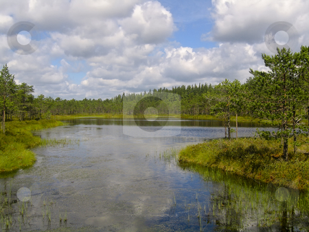 To use this stock image in your creative project, please select the size you need over to the right and click the "Add to Cart" button.
Your downloaded image will come with the Cutcaster watermark removed so don’t worry about the watermark you see on this page. Lake scenery stock photo, A bog lake in the marsh called Meenikunno, in the South East of Estonia, with forest in the background and clouds reflecting in the water by Alessandro Rizzolli