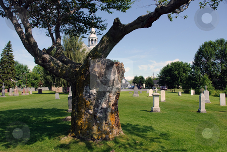 To use this stock image in your creative project, please select the size you need over to the right and click the "Add to Cart" button.
Your downloaded image will come with the Cutcaster watermark removed so don’t worry about the watermark you see on this page. Cemetery stock photo, A very old tree in the middle of a cemetery by Alain Turgeon