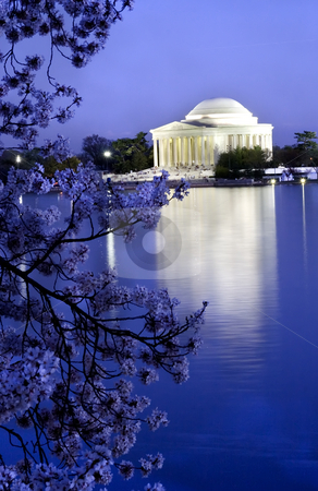 To use this stock image in your creative project, please select the size you need over to the right and click the "Add to Cart" button.
Your downloaded image will come with the Cutcaster watermark removed so don’t worry about the watermark you see on this page. Jefferson Memorial with Cherry Blossoms stock photo, Jefferson Memorial with Cherry Blossoms, tidal basin with reflections, Washington DC, District of Columbia by William Perry