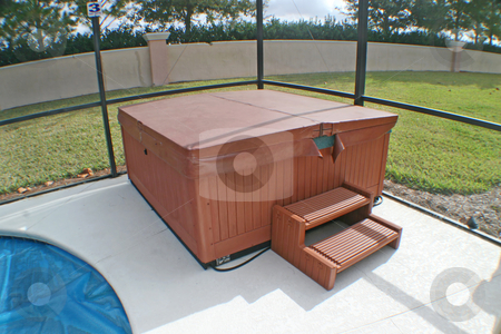 To use this stock image in your creative project, please select the size you need over to the right and click the "Add to Cart" button.
Your downloaded image will come with the Cutcaster watermark removed so don’t worry about the watermark you see on this page. Hot Tub stock photo, A Hot Tub near to a Pool in a Florida Home. by Lucy Clark