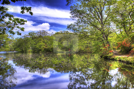 To use this stock image in your creative project, please select the size you need over to the right and click the "Add to Cart" button.
Your downloaded image will come with the Cutcaster watermark removed so don’t worry about the watermark you see on this page. Relection of nature stock photo, Trees and sky reflecting on a lake by Paul Malandain