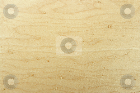 To use this stock image in your creative project, please select the size you need over to the right and click the "Add to Cart" button.
Your downloaded image will come with the Cutcaster watermark removed so don’t worry about the watermark you see on this page. Beech wood texture stock photo, Edge to edge beech wood texture. Slight side light to highlight contours. by Martin Darley