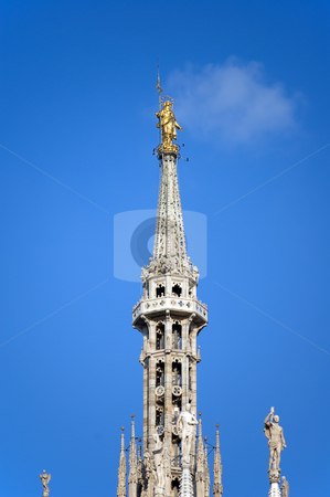 To use this stock image in your creative project, please select the size you need over to the right and click the "Add to Cart" button.
Your downloaded image will come with the Cutcaster watermark removed so don’t worry about the watermark you see on this page. Madonnina of the Cathedral in Milan, Duomo stock photo, Detail of the