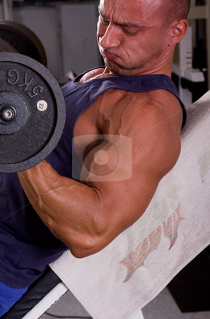 To use this stock image in your creative project, please select the size you need over to the right and click the "Add to Cart" button.
Your downloaded image will come with the Cutcaster watermark removed so don’t worry about the watermark you see on this page. Bodybuilder stock photo, Bodybuilder training his bicep by Istv??n Cs??k