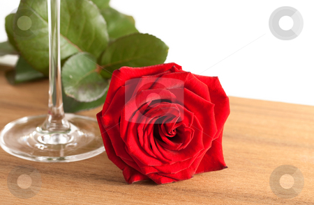 To use this stock image in your creative project, please select the size you need over to the right and click the "Add to Cart" button.
Your downloaded image will come with the Cutcaster watermark removed so don’t worry about the watermark you see on this page. Red rose and wine glass stock photo, A red rose and a wine glass on a wooden bottom isolated on white background by Alexander Zschach