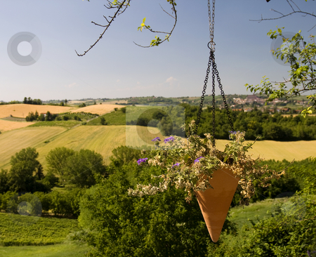 To use this stock image in your creative project, please select the size you need over to the right and click the "Add to Cart" button.
Your downloaded image will come with the Cutcaster watermark removed so don’t worry about the watermark you see on this page. Pleasant place stock photo, Landscape of a pleasant place, with a pending vase of flowers by Fabio Alcini