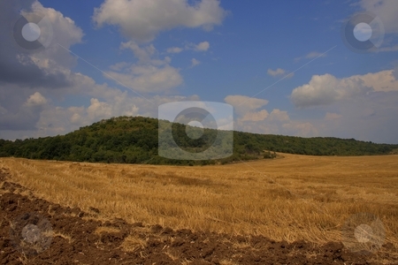 To use this stock image in your creative project, please select the size you need over to the right and click the "Add to Cart" button.
Your downloaded image will come with the Cutcaster watermark removed so don’t worry about the watermark you see on this page. Agricultural plains stock photo, Agricultural plains with cloudy sky by Minka Ruskova-Stefanova