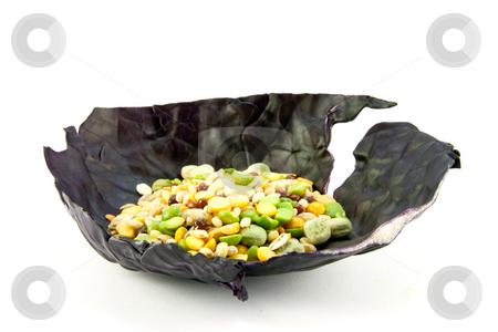 To use this stock image in your creative project, please select the size you need over to the right and click the "Add to Cart" button.
Your downloaded image will come with the Cutcaster watermark removed so don’t worry about the watermark you see on this page. Soup Pulses in a Cabbage Leaf stock photo, Pile of soup pulses in a red cabbage leaf on a white background by Keith Wilson