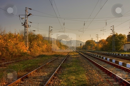 To use this stock image in your creative project, please select the size you need over to the right and click the "Add to Cart" button.
Your downloaded image will come with the Cutcaster watermark removed so don’t worry about the watermark you see on this page. Railroad stock photo, Railroad in autumn forest by Minka Ruskova-Stefanova