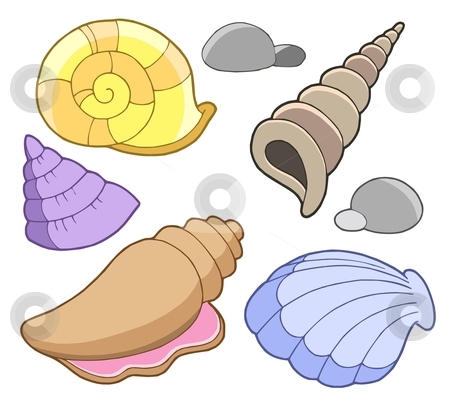 To use this stock image in your creative project, please select the size you need over to the right and click the "Add to Cart" button.
Your downloaded image will come with the Cutcaster watermark removed so don’t worry about the watermark you see on this page. Sea shells collection stock vector clipart, Sea shells collection - vector illustration. by Klara Viskova