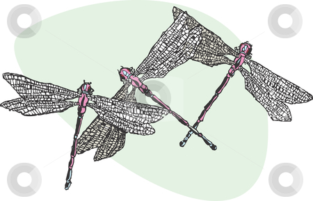 To use this stock image in your creative project, please select the size you need over to the right and click the "Add to Cart" button.
Your downloaded image will come with the Cutcaster watermark removed so don’t worry about the watermark you see on this page. Dragonflies stock vector clipart, Three purple and blue dragonflies flying together. by Jeffrey Thompson