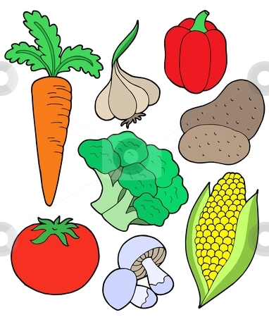 To use this stock image in your creative project, please select the size you need over to the right and click the "Add to Cart" button.
Your downloaded image will come with the Cutcaster watermark removed so don’t worry about the watermark you see on this page. Vegatable collection stock vector clipart, Vegetable collection on white background - vector illustration. by Klara Viskova