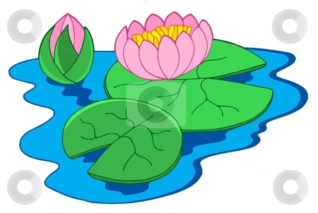 To use this stock image in your creative project, please select the size you need over to the right and click the "Add to Cart" button.
Your downloaded image will come with the Cutcaster watermark removed so don’t worry about the watermark you see on this page. Pink water lilies stock vector clipart, Pink water lilies - vector illustration. by Klara Viskova