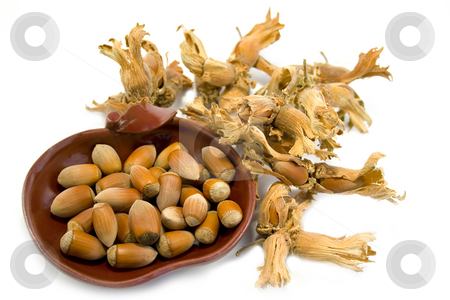 To use this stock image in your creative project, please select the size you need over to the right and click the "Add to Cart" button.
Your downloaded image will come with the Cutcaster watermark removed so don’t worry about the watermark you see on this page. Hazelnuts stock photo, Hazelnuts isolated on white background by Minka Ruskova-Stefanova