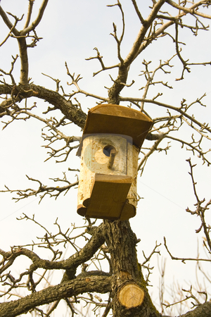 To use this stock image in your creative project, please select the size you need over to the right and click the "Add to Cart" button.
Your downloaded image will come with the Cutcaster watermark removed so don’t worry about the watermark you see on this page. Birdhouse on tree stock photo, Birdhouse on tree by Minka Ruskova-Stefanova
