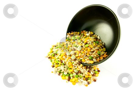 To use this stock image in your creative project, please select the size you need over to the right and click the "Add to Cart" button.
Your downloaded image will come with the Cutcaster watermark removed so don’t worry about the watermark you see on this page. Soup Pulses Spilling from a Bowl stock photo, Assorted soup pulses spilling from a round black bowl on a white background by Keith Wilson