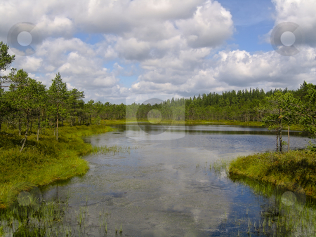 To use this stock image in your creative project, please select the size you need over to the right and click the "Add to Cart" button.
Your downloaded image will come with the Cutcaster watermark removed so don’t worry about the watermark you see on this page. Lake scenery stock photo, A bog lake in the natural reserve of Meenikunno, in the South East of Estonia, with forest in the background and clouds reflecting in the water by Alessandro Rizzolli