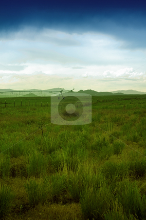 To use this stock image in your creative project, please select the size you need over to the right and click the "Add to Cart" button.
Your downloaded image will come with the Cutcaster watermark removed so don’t worry about the watermark you see on this page. Irrigation System in the Field stock photo, Irrigation System in the a Filed - Foggy by Mehmet Dilsiz