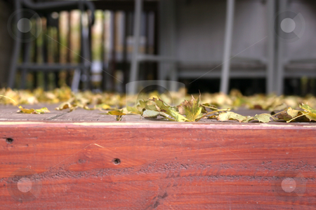 To use this stock image in your creative project, please select the size you need over to the right and click the "Add to Cart" button.
Your downloaded image will come with the Cutcaster watermark removed so don’t worry about the watermark you see on this page. Close up on the Leaves Falling stock photo, Close Up - Leaves on the Deck by Mehmet Dilsiz