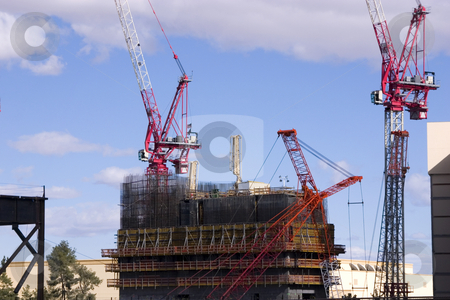 To use this stock image in your creative project, please select the size you need over to the right and click the "Add to Cart" button.
Your downloaded image will come with the Cutcaster watermark removed so don’t worry about the watermark you see on this page. Construction site with Cranes in the strip in Las Vegas stock photo, Construction site Cranes in the strip in Las Vegas by Mehmet Dilsiz