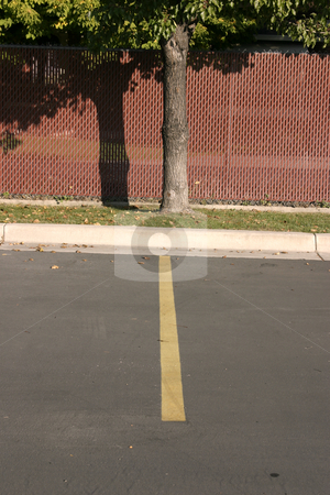 To use this stock image in your creative project, please select the size you need over to the right and click the "Add to Cart" button.
Your downloaded image will come with the Cutcaster watermark removed so don’t worry about the watermark you see on this page. Tree in a Parking Lot stock photo, Fenced Tree in a Parking Lot by Mehmet Dilsiz